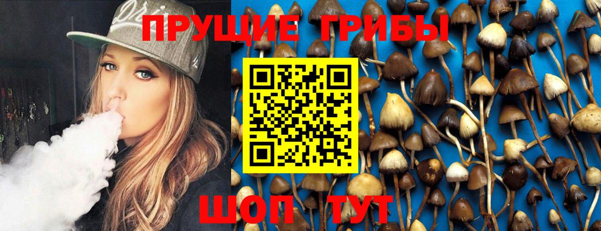 Псилоцибиновые грибы прущие грибы Мытищи